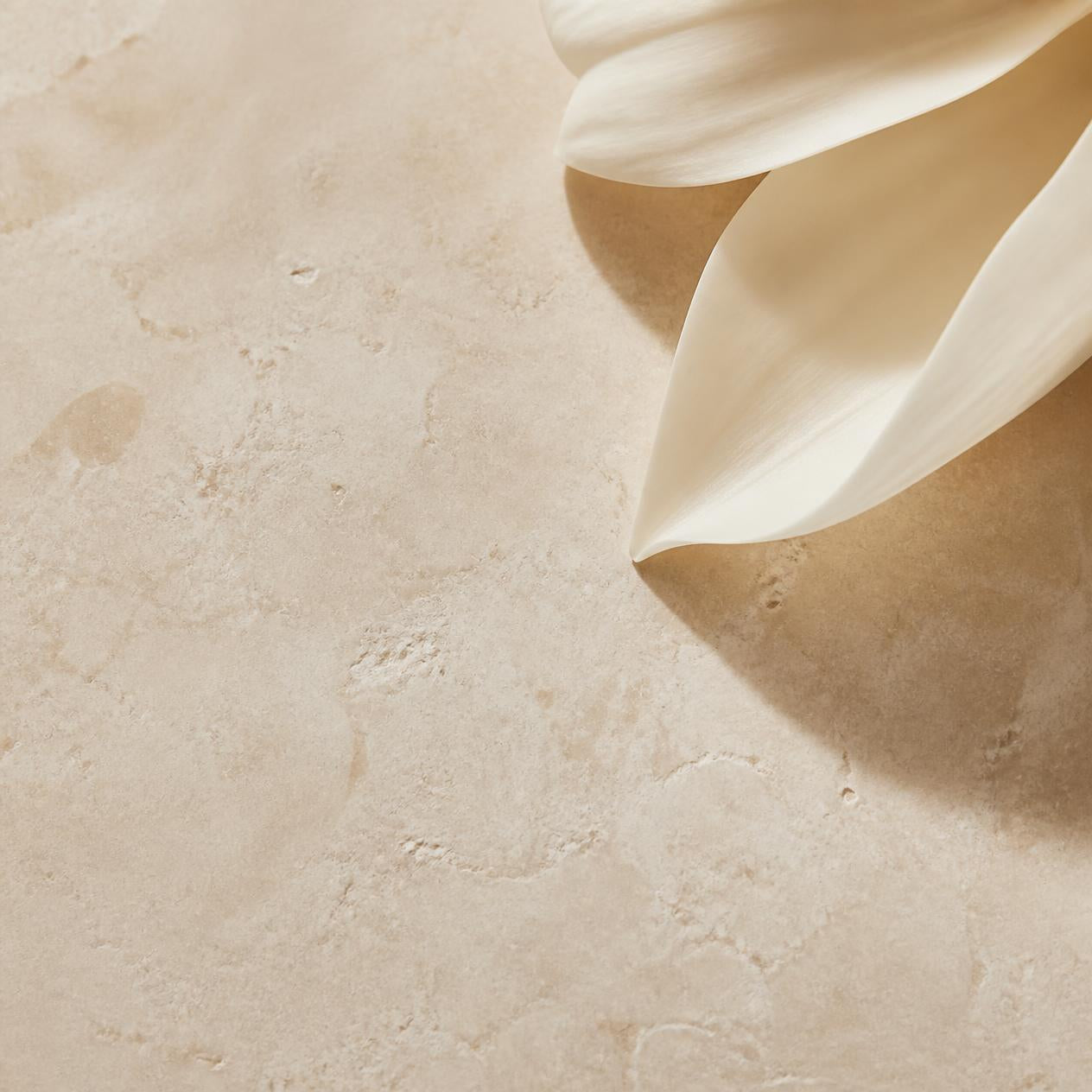 The Skin Barrier: The Foundation of Healthy, Resilient Skin